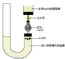 (分)有人设计一个Na2O2与CO2反应实验装置图